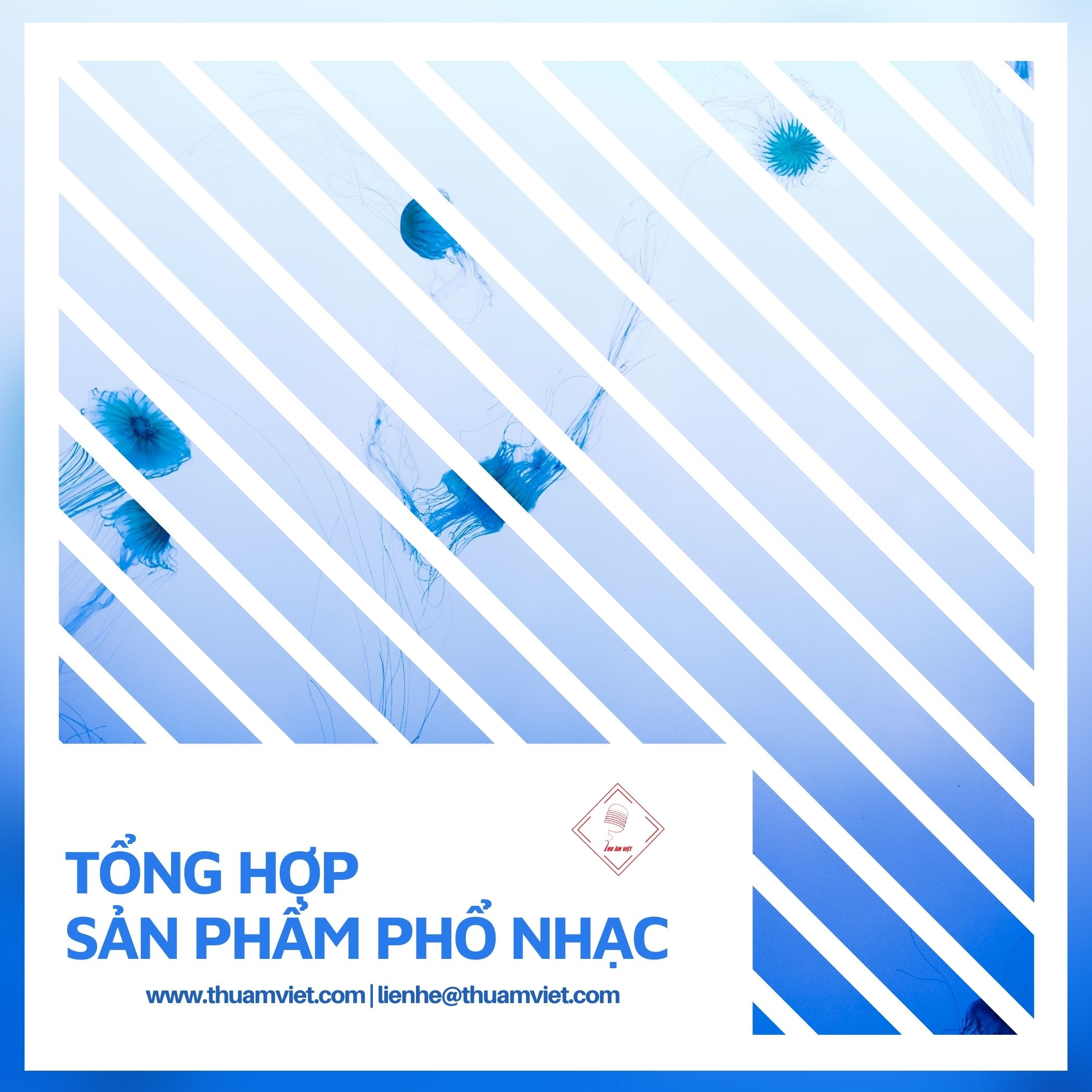 Tổng hợp sản phẩm phổ nhạc ca khúc Thu Âm Việt